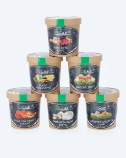 BBCup Bio-Suppen 6er-Set