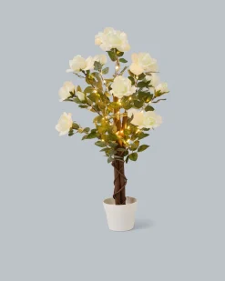 Beleuchteter Outdoor-Rosenbaum