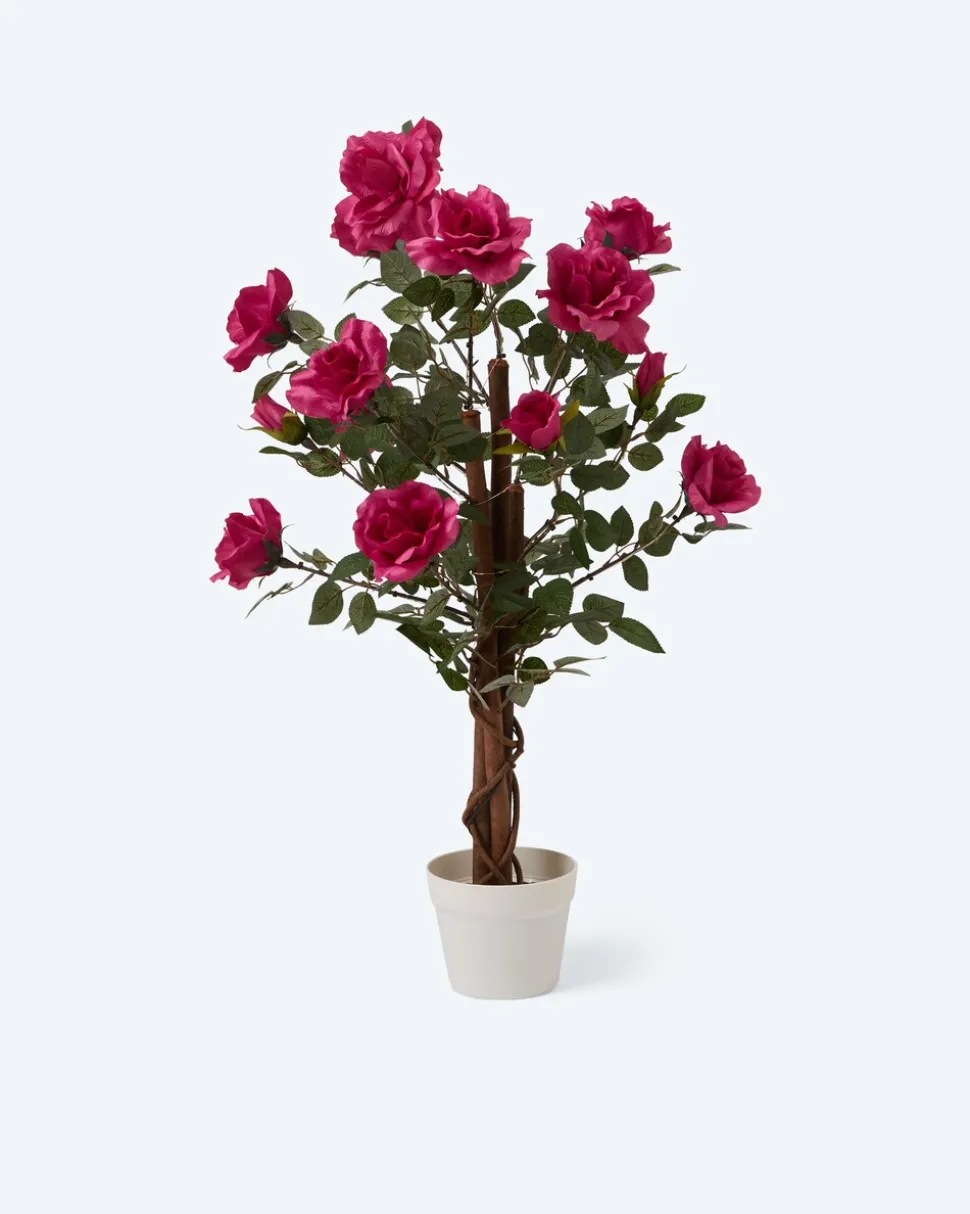 Beleuchteter Outdoor-Rosenbaum