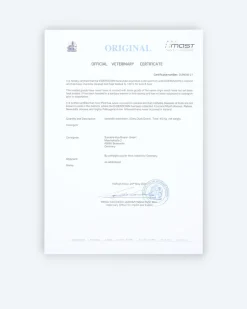 Eiderdaunendecke