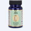 Glucosamin Chondroitin Komplex, 30 Kps.