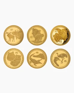 Goldcollection Global Big Five, 35tlg.