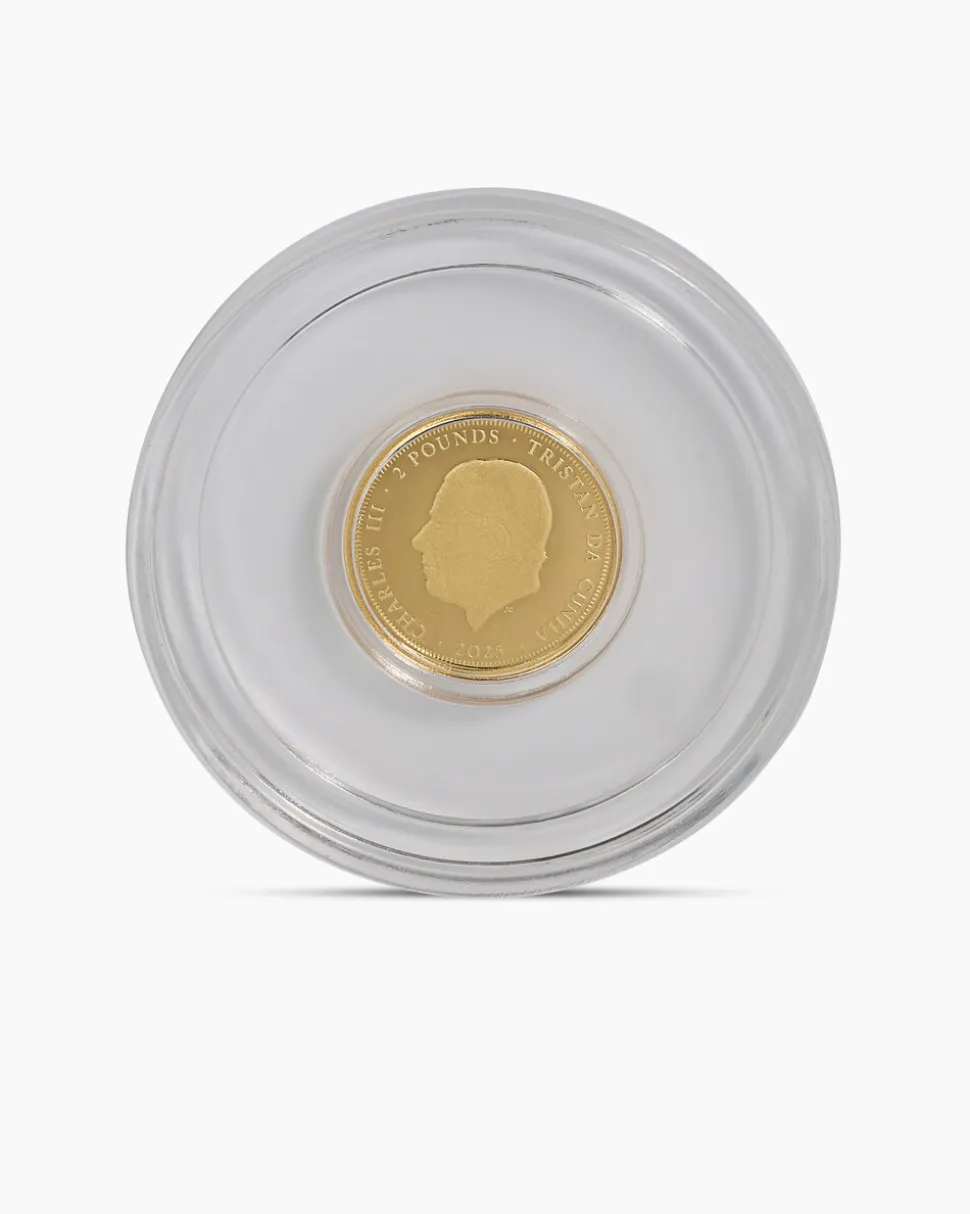 Gold Panda Artist Edition, 8tlg.