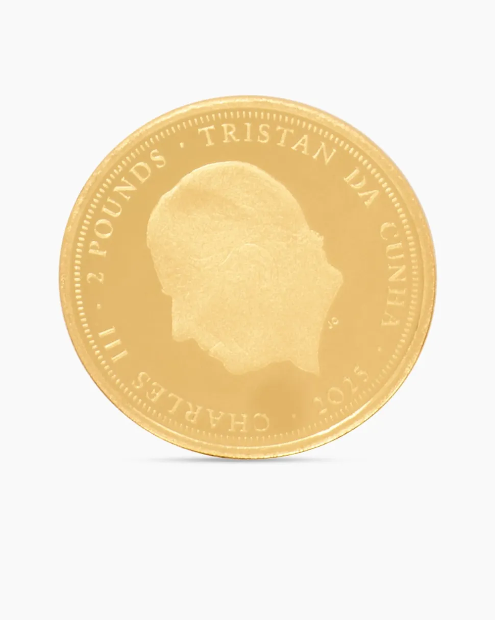 Gold Panda Artist Edition, 8tlg.
