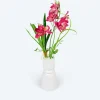 Kahnorchideen-Arrangement