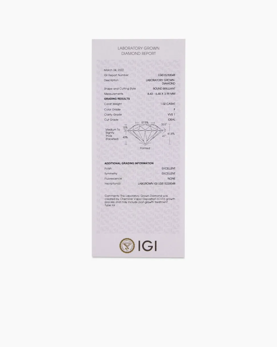 Omegareif mit Anhänger "Lab Grown" 1,00 ct