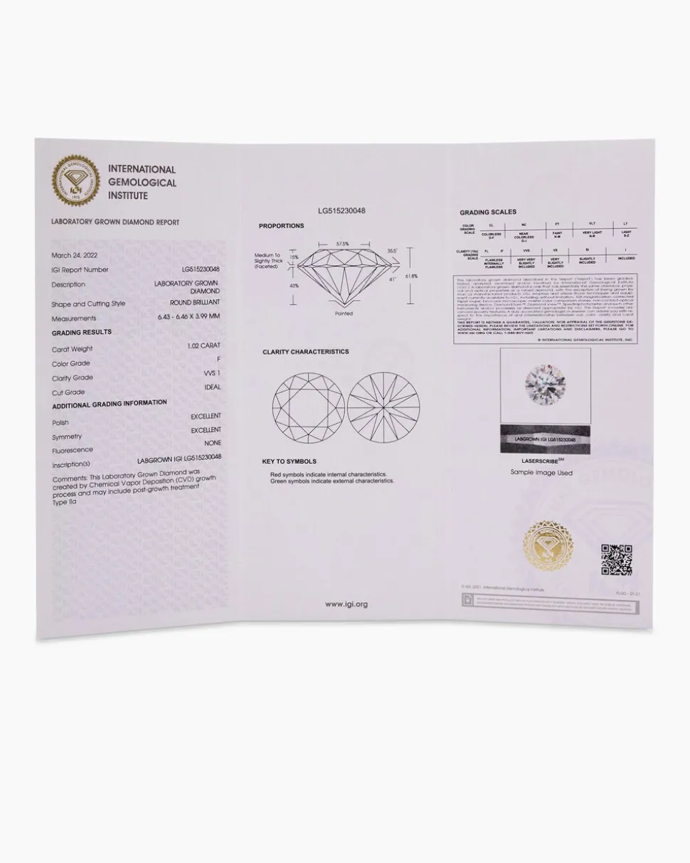 Omegareif mit Anhänger "Lab Grown" 1,00 ct