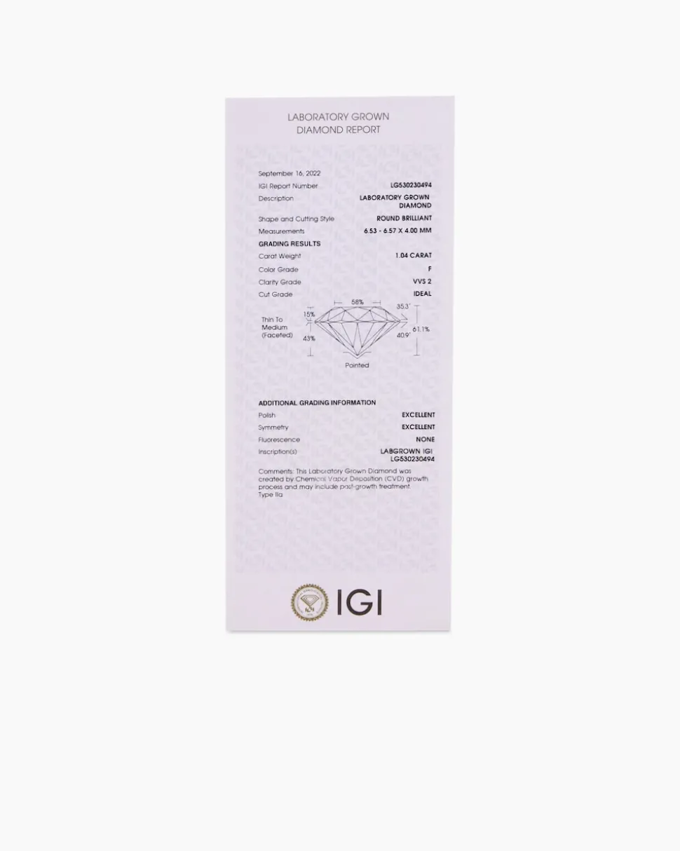 Omegareif mit Anhänger "Lab Grown" 1,00 ct