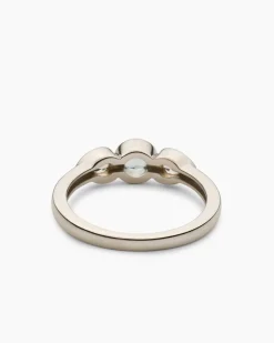 Ring mit Santa Maria Aquamarin und Zirkon